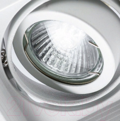 Точечный светильник Arte Lamp Canis A6661PL-1WH