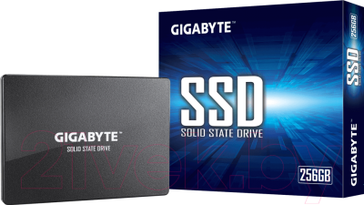 SSD диск Gigabyte 256GB (GP-GSTFS31256GTND) - фото