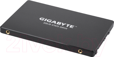 SSD диск Gigabyte 256GB (GP-GSTFS31256GTND)