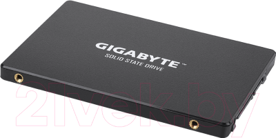 SSD диск Gigabyte 480GB (GP-GSTFS31480GNTD)