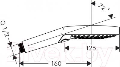 Лейка ручного душа Hansgrohe Raindance Select S 120 26530400