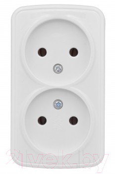 Розетка EKF Basic Минск-2 ОП 10А / EGR10-102-10 - фото