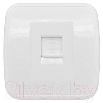 Розетка EKF Basic Минск-1 ОП Phone / EGT01-034-10 - фото