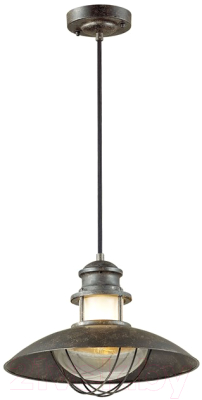 Потолочный светильник Odeon Light Dante 4164/1 - фото