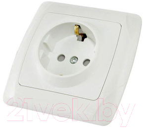 Розетка TDM Онега SQ1805-0011 - фото