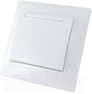 Розетка TDM Лама SQ1815-0014 - фото