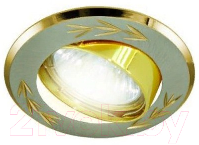 Точечный светильник TDM SQ0359-0001 - фото