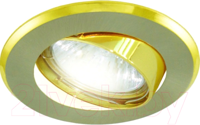 Точечный светильник TDM SQ0359-0008 - фото