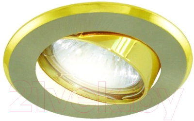 Точечный светильник TDM SQ0359-0009 - фото