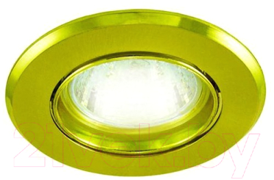 Точечный светильник TDM SQ0359-0021 - фото