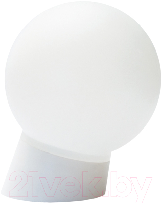 Светильник ЖКХ TDM SQ0314-0002 - фото