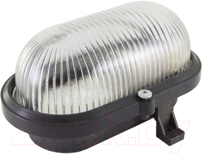 Светильник ЖКХ TDM SQ0312-0011 - фото