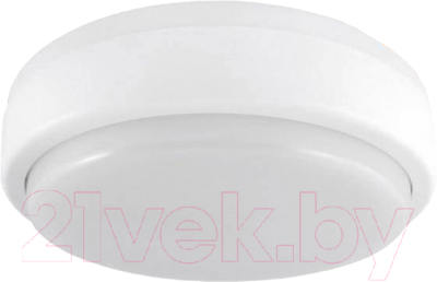 Светильник ЖКХ TDM SQ0329-0807 - фото