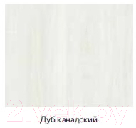 Шкаф с зеркалом для ванной Aqwella Сити 50 / SIT0405DK