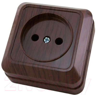 Розетка TDM Ладога SQ1801-0033 - фото