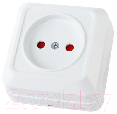 Розетка TDM Ладога SQ1801-0059 - фото