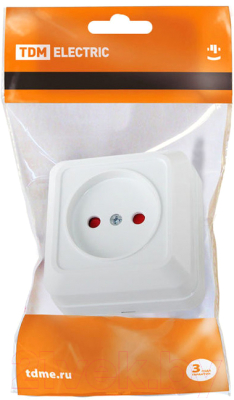 Розетка TDM Ладога SQ1801-0059
