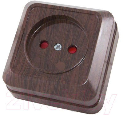 Розетка TDM Ладога SQ1801-0037 - фото