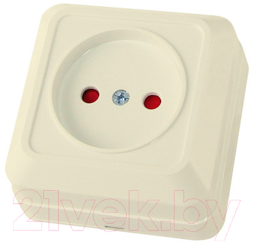 Розетка TDM Ладога SQ1801-0063 - фото