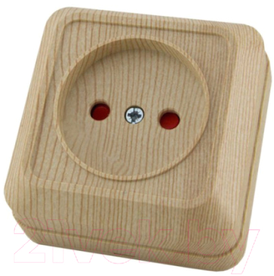 Розетка TDM Ладога SQ1801-0053 - фото