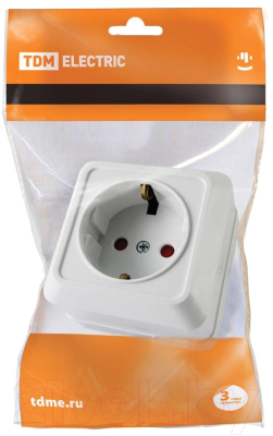 Розетка TDM Ладога SQ1801-0060
