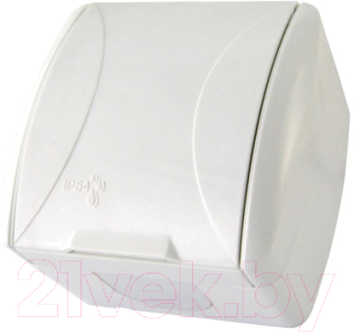 Розетка TDM Селигер SQ1818-0013 - фото