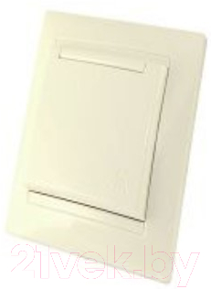 Розетка TDM Лама SQ1815-0114 - фото