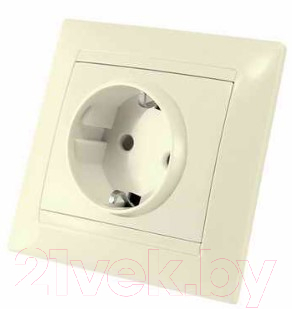 Розетка TDM Лама SQ1815-0111 - фото