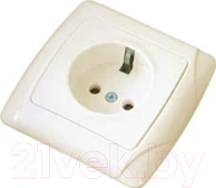 Розетка TDM Онега SQ1805-0040 - фото