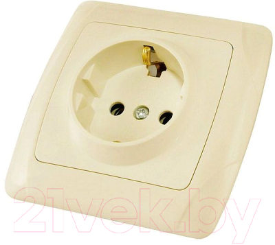 Розетка TDM Онега SQ1805-0045 - фото