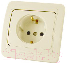 Розетка TDM Валдай SQ1804-0108 - фото