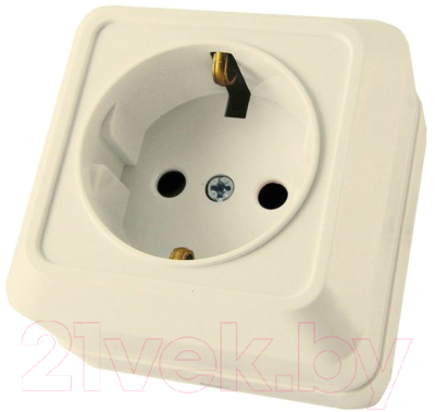 Розетка TDM Ладога SQ1801-0016 - фото