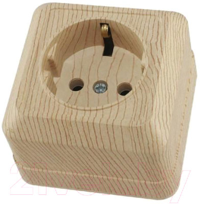 Розетка TDM Ладога SQ1801-0050 - фото