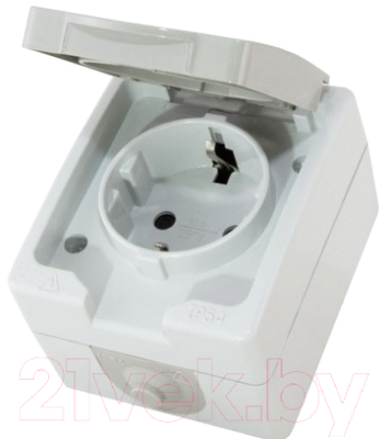 Розетка TDM Вуокса SQ1803-0007 - фото