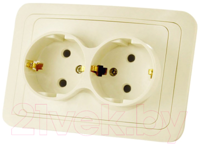 Розетка TDM Вуокса SQ1803-0007