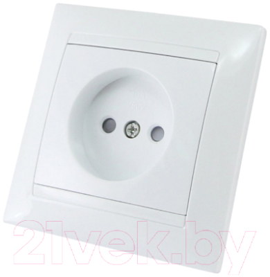 Розетка TDM Лама SQ1815-0010 - фото