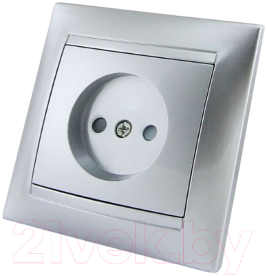 Розетка TDM Лама SQ1815-0210 - фото