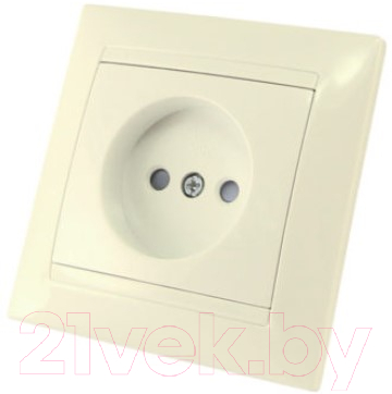 Розетка TDM Лама SQ1815-0110 - фото