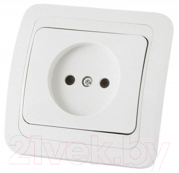 Розетка TDM Валдай SQ1804-0007 - фото