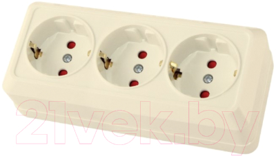 Розетка TDM Ладога SQ1801-0227 - фото