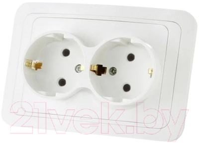Розетка TDM Валдай SQ1804-0026 - фото