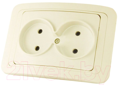 Розетка TDM Валдай SQ1804-0109 - фото