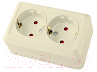 Розетка TDM Ладога SQ1801-0066 - фото