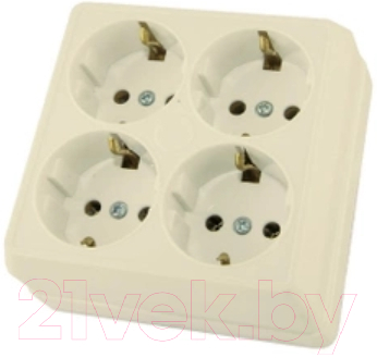 Розетка TDM Ладога SQ1801-0222 - фото