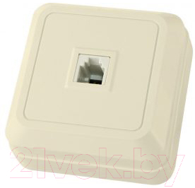 Розетка TDM Ладога SQ1801-0023 - фото
