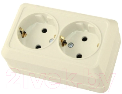 Розетка TDM Ладога SQ1801-0213 - фото