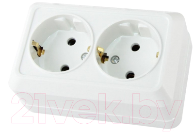 Розетка TDM Ладога SQ1801-0113 - фото