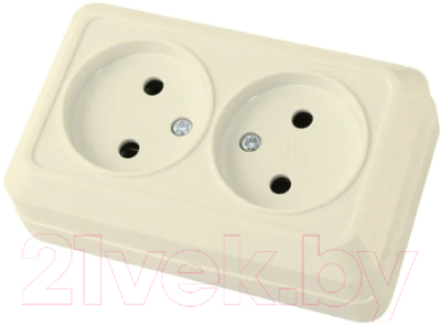 Розетка TDM Ладога SQ1801-0018 - фото