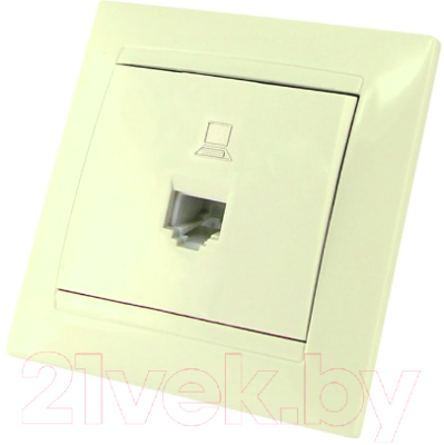 Розетка TDM Лама SQ1815-0116 - фото