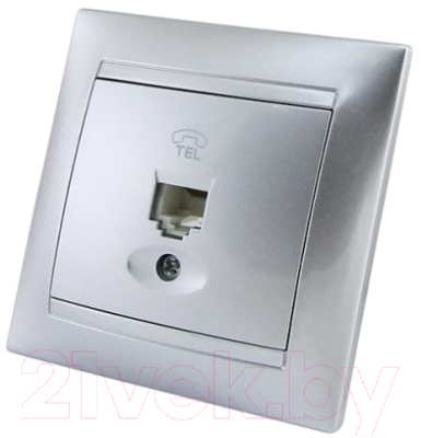 Розетка TDM Лама SQ1815-0215 - фото